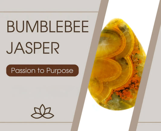 Bumblebee Jasper: From Passion to Purpose