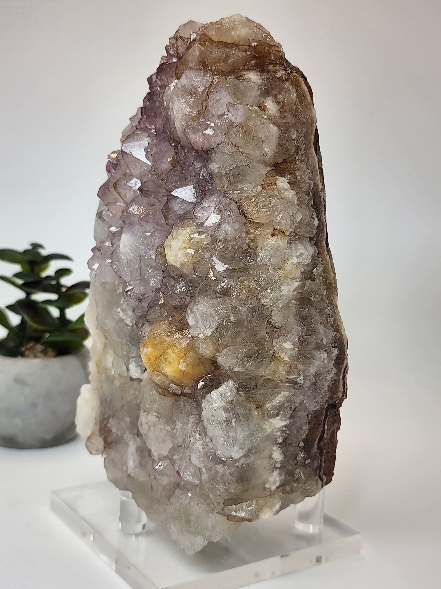 Lavender Amethyst with Citrine Points