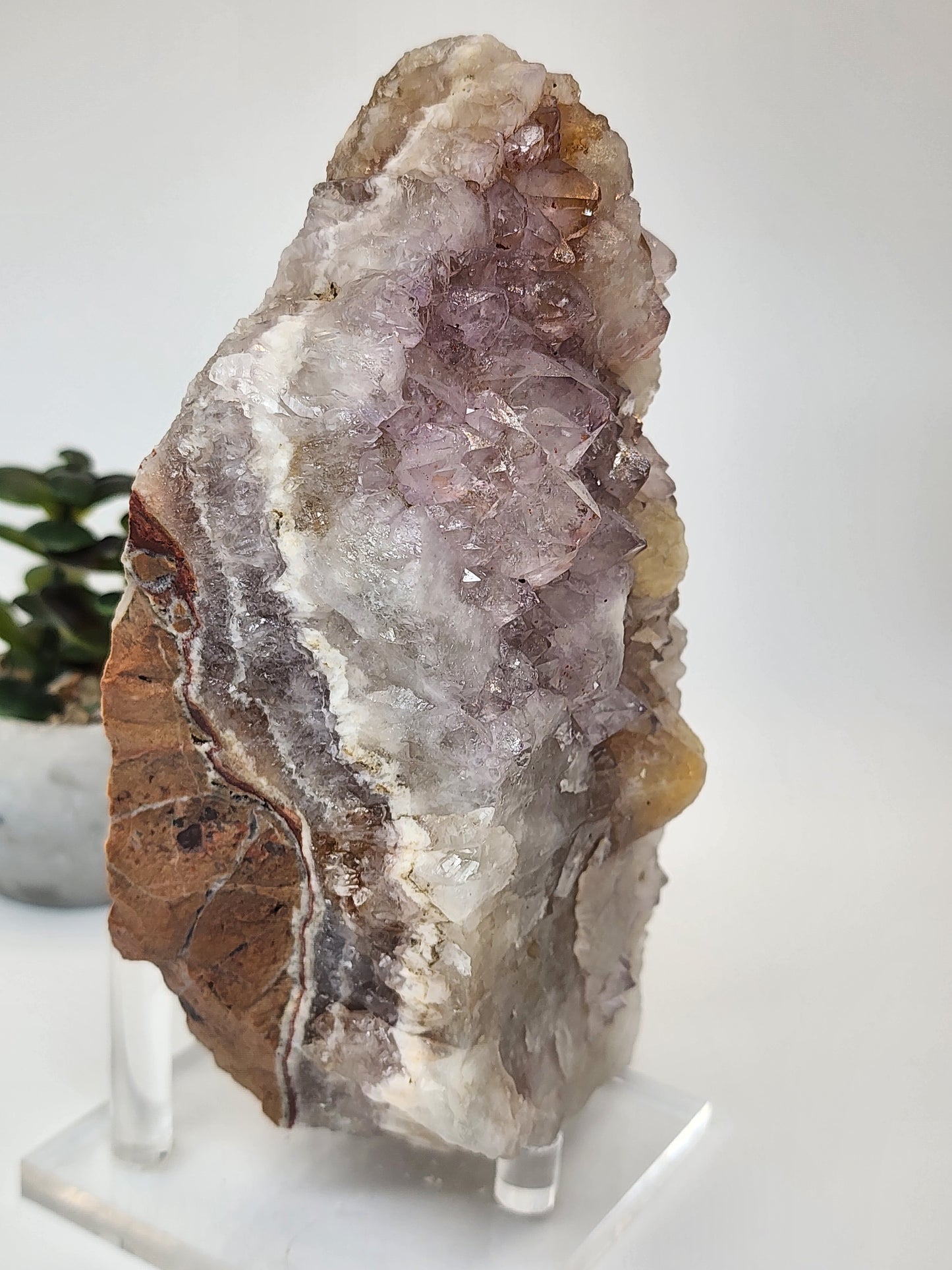 Lavender Amethyst with Citrine Points