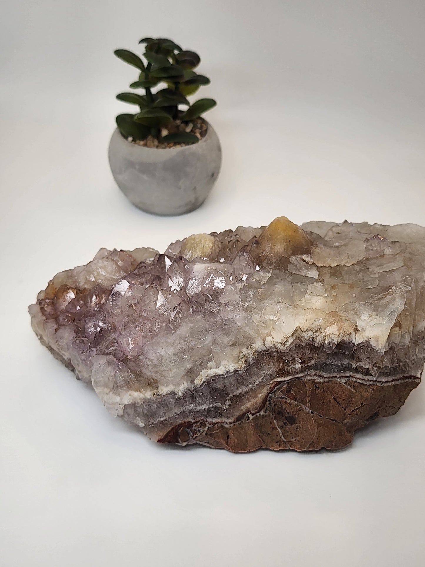 Lavender Amethyst with Citrine Points
