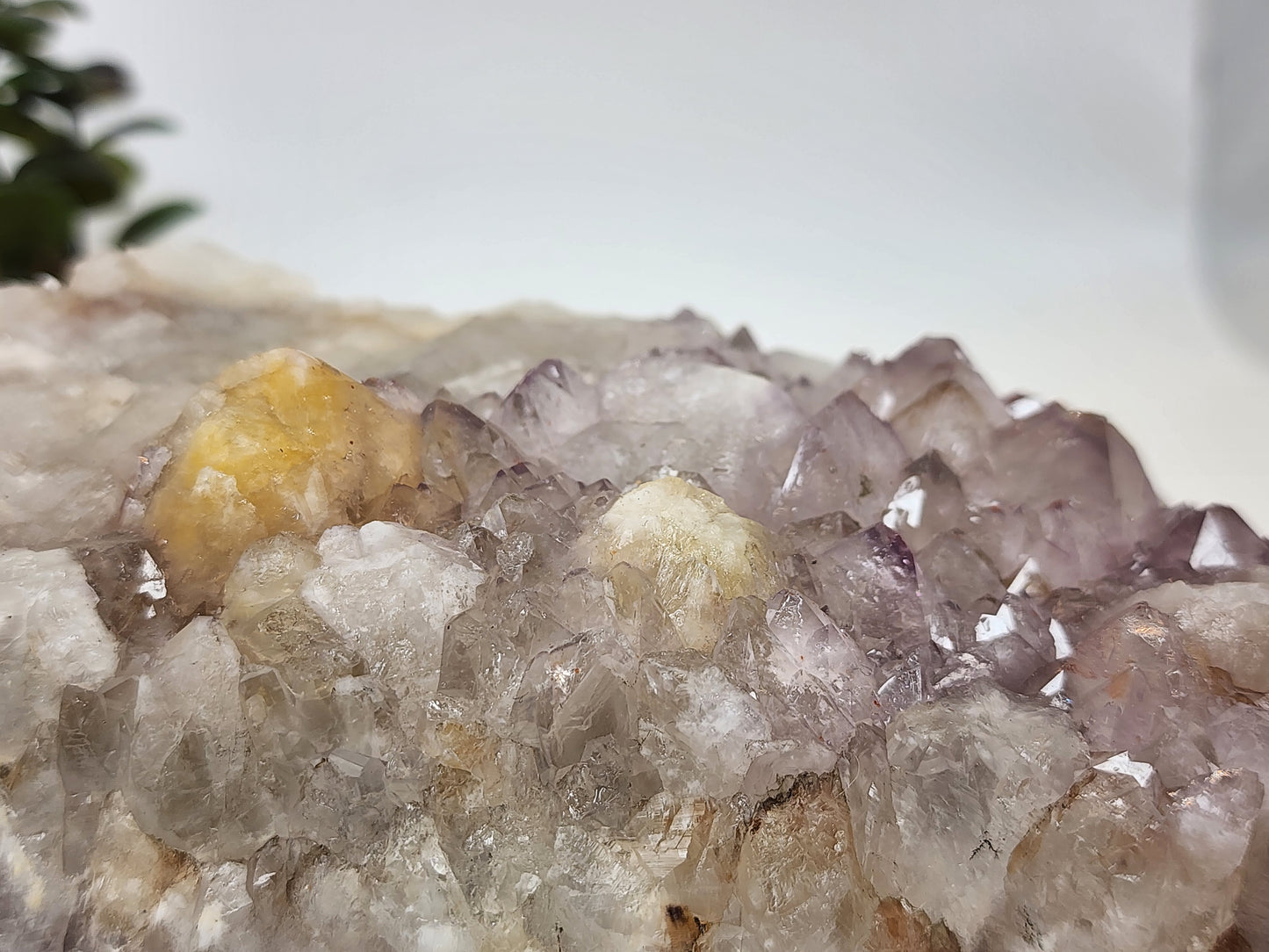 Lavender Amethyst with Citrine Points