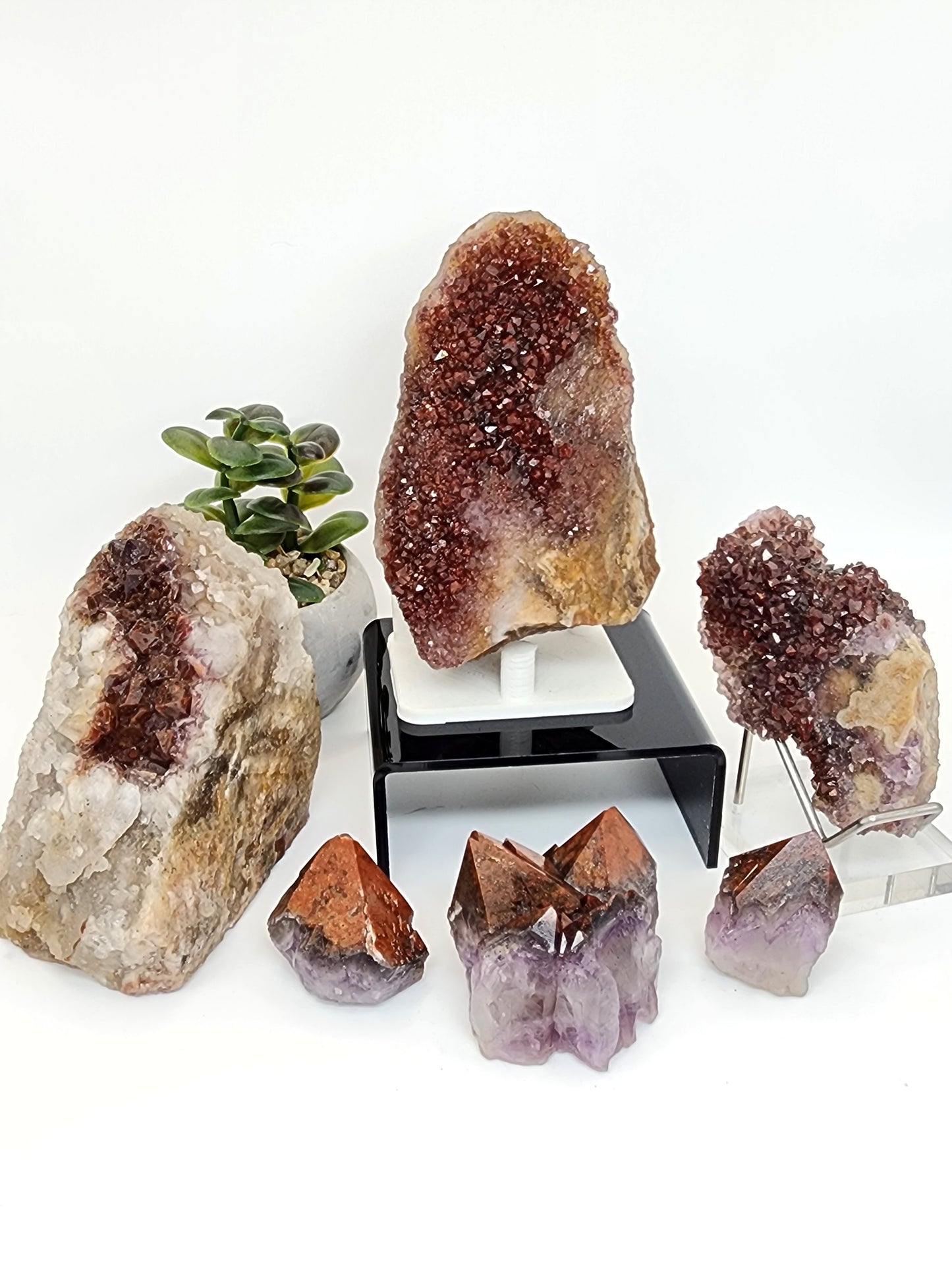 Wholesale Mixed Lot: Amethyst Variant Collection (24 Specimens)