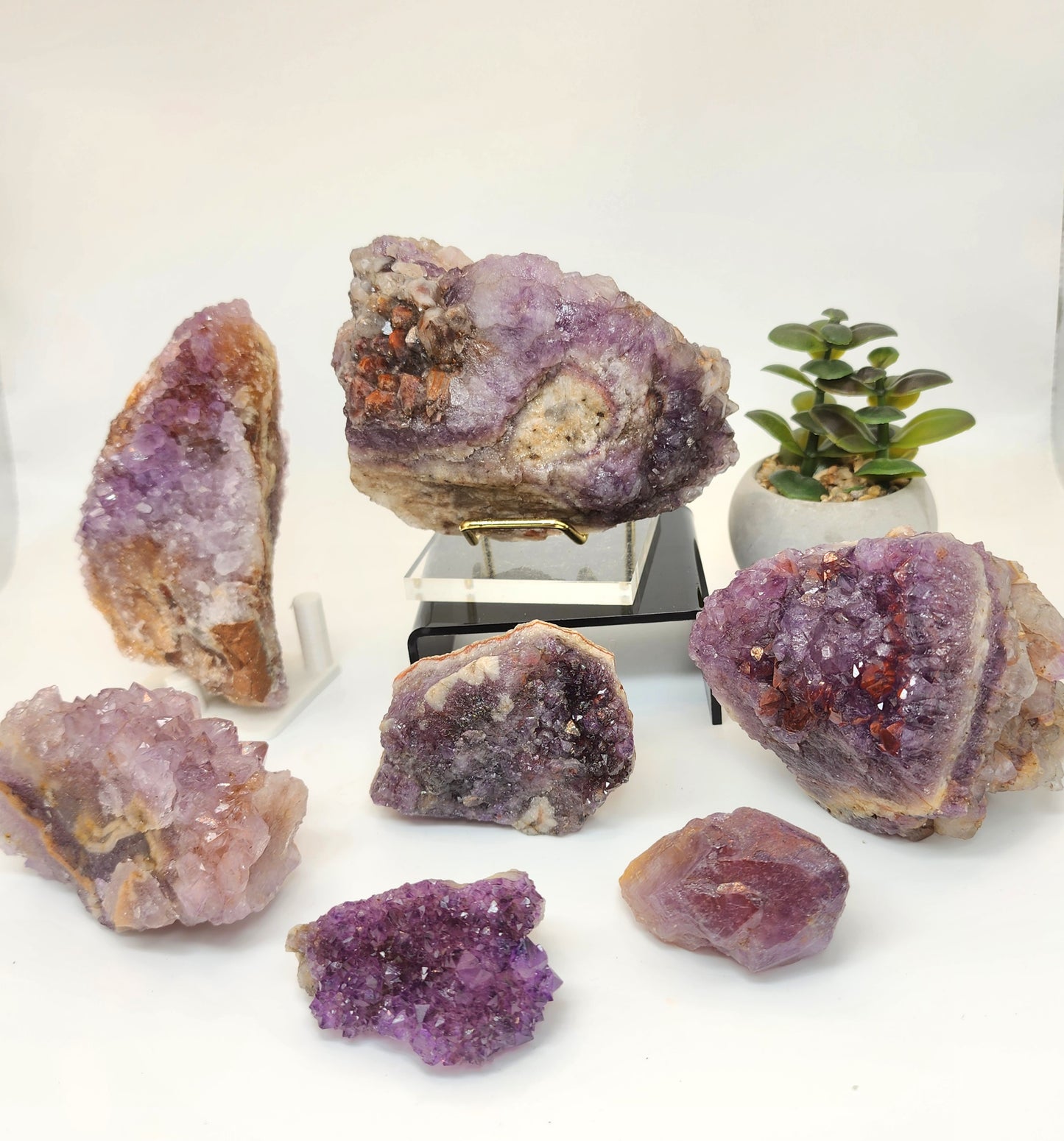 Wholesale Mixed Lot: Amethyst Variant Collection (24 Specimens)