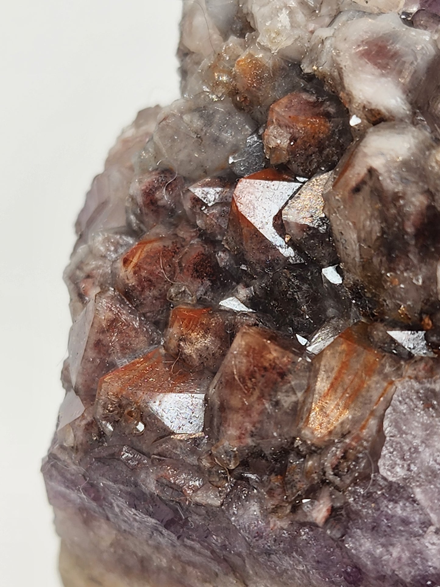 Wholesale Mixed Lot: Amethyst Variant Collection (24 Specimens)