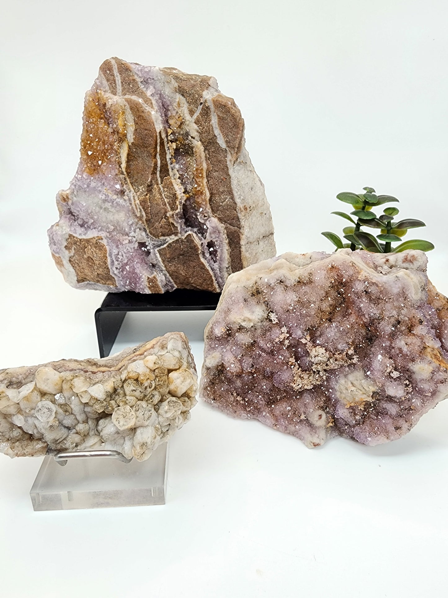 Wholesale Mixed Lot: Amethyst Variant Collection (24 Specimens)