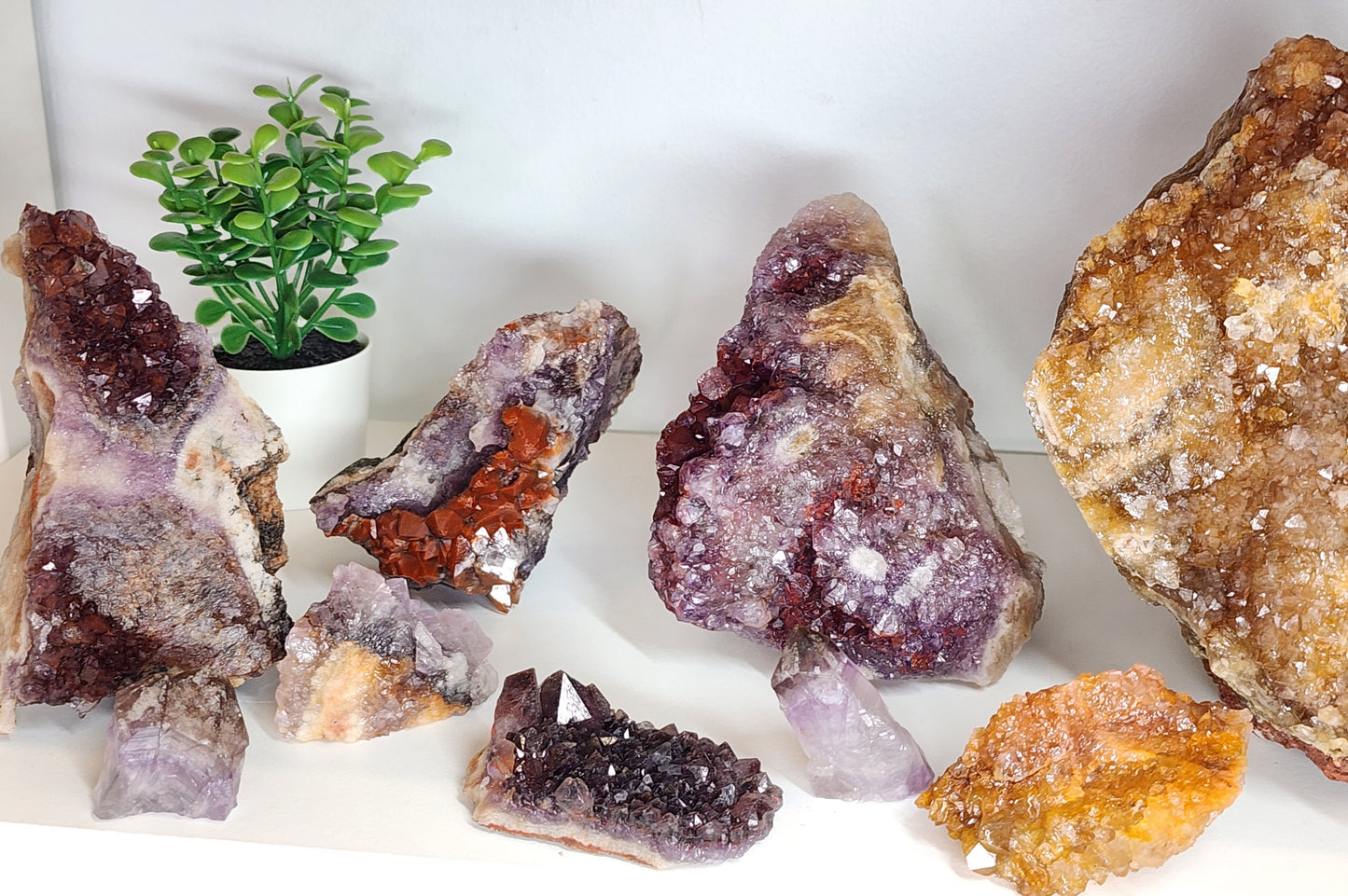 Wholesale Mixed Lot: Amethyst Variant Collection (37 Specimens)