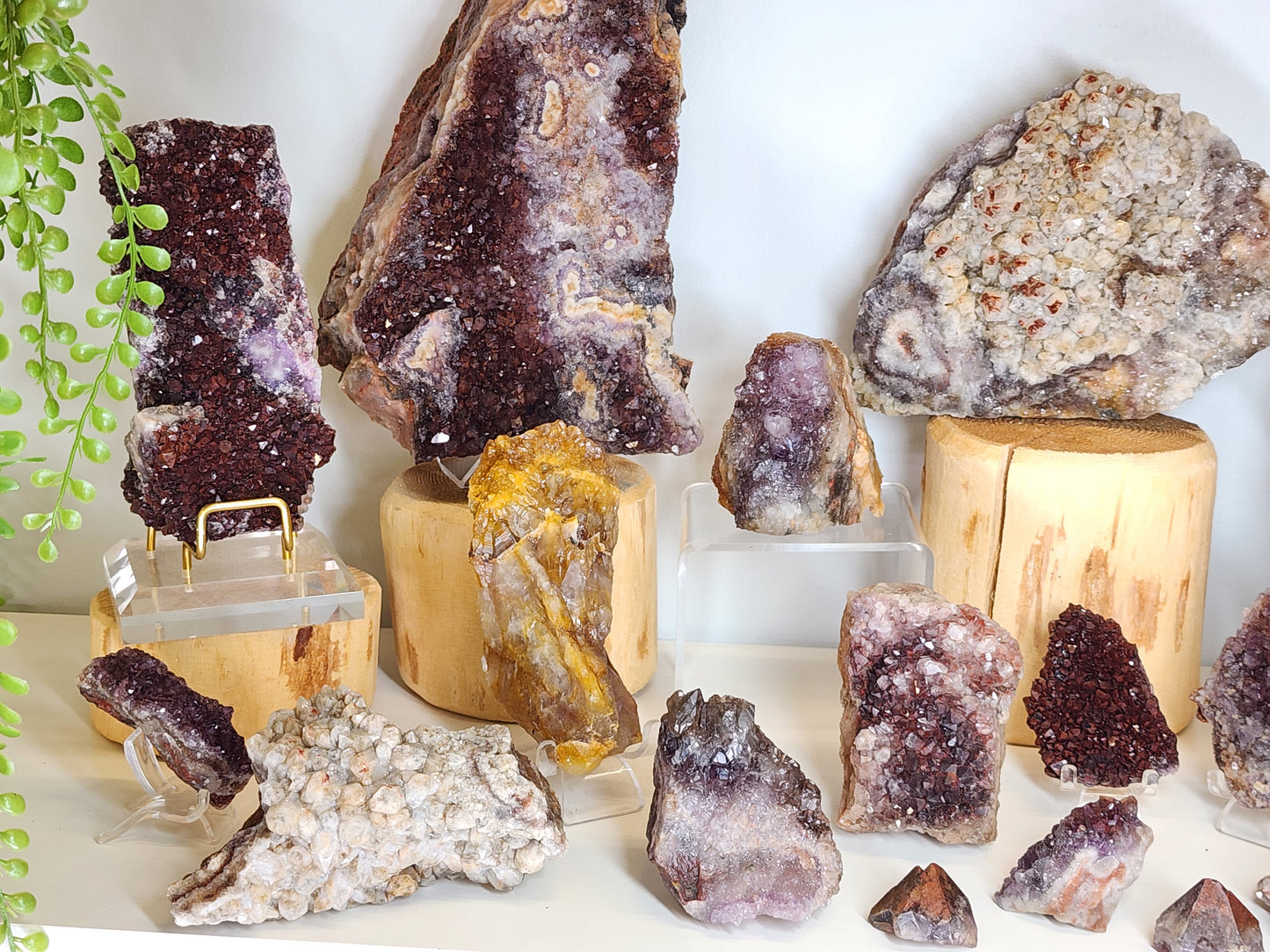 Wholesale Mixed Lot: Amethyst Variant Collection (37 Specimens)