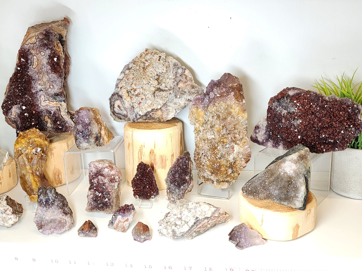 Wholesale Mixed Lot: Amethyst Variant Collection (37 Specimens)
