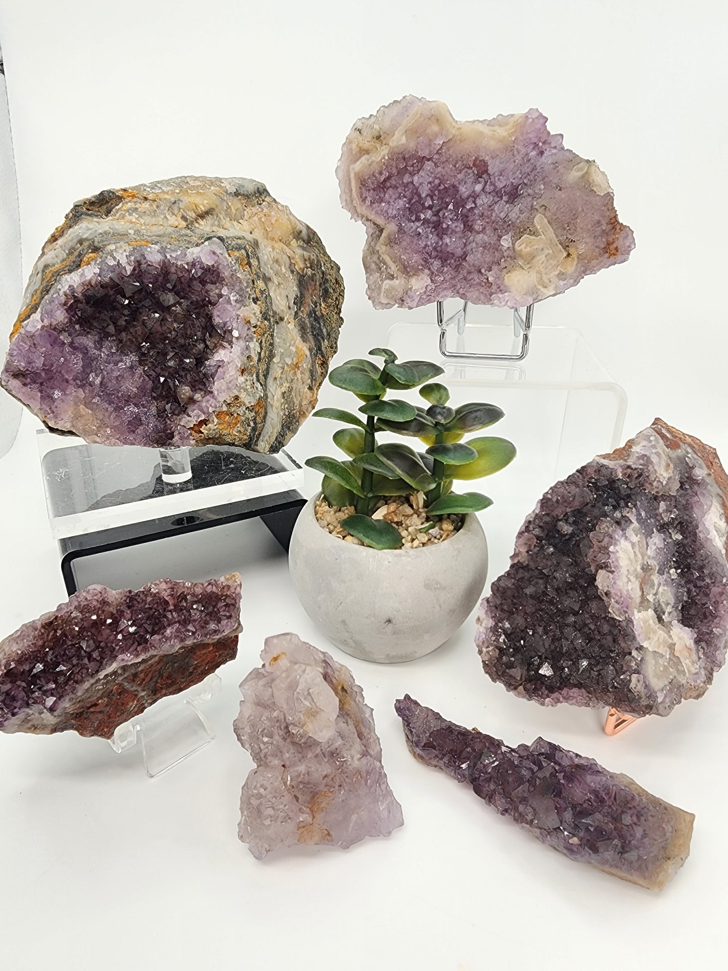 Wholesale Mixed Lot: Amethyst Variant Collection (37 Specimens)