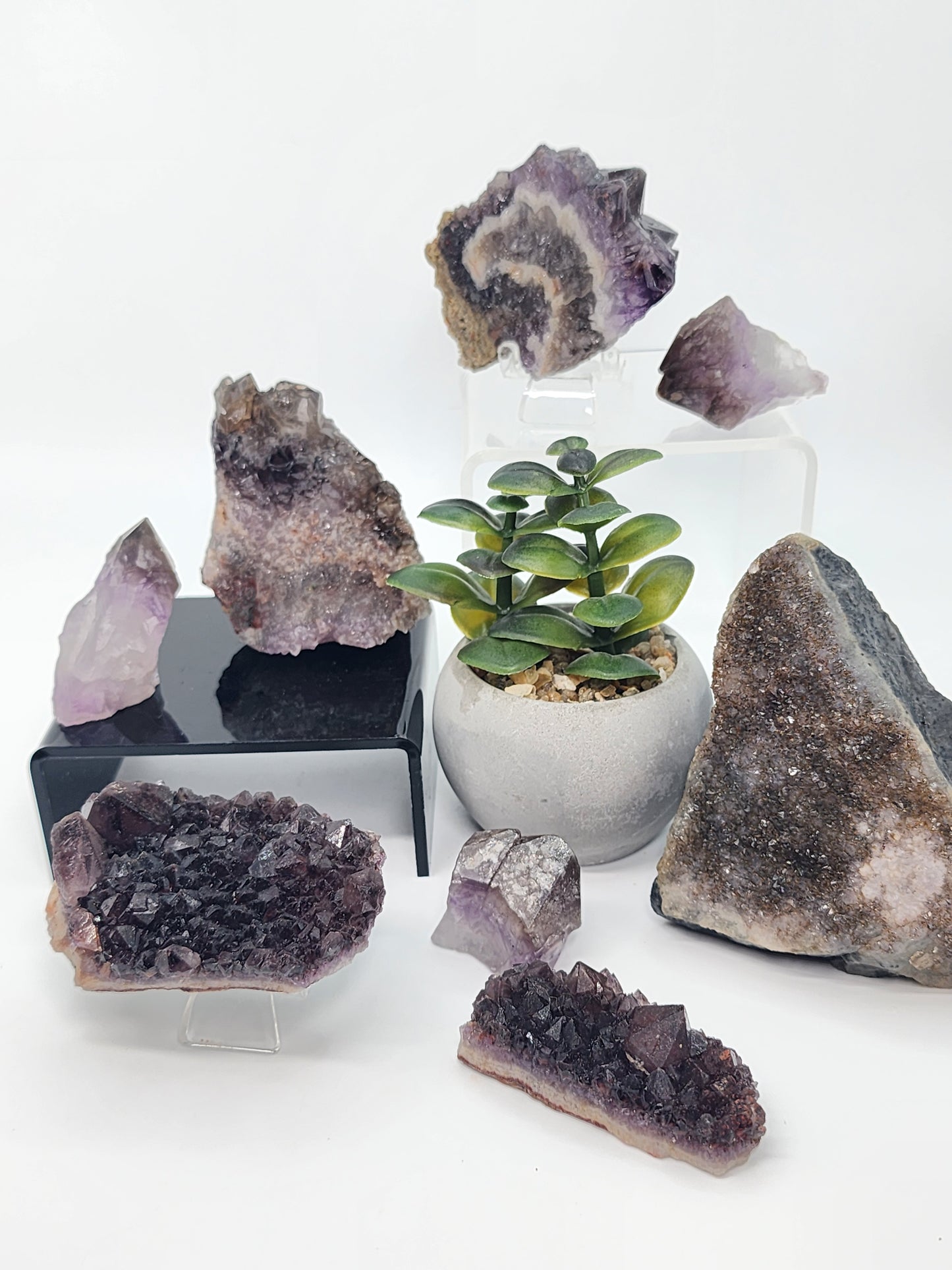 Wholesale Mixed Lot: Amethyst Variant Collection (37 Specimens)