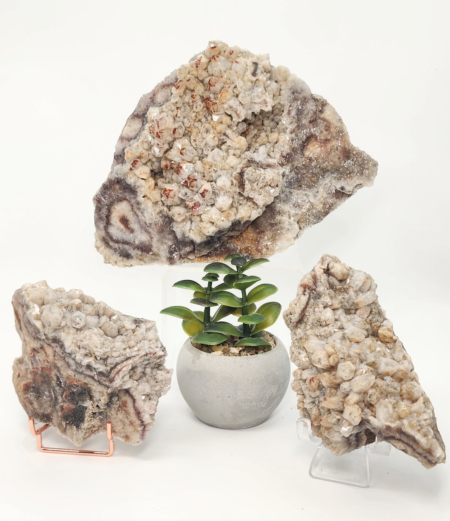 Wholesale Mixed Lot: Amethyst Variant Collection (37 Specimens)