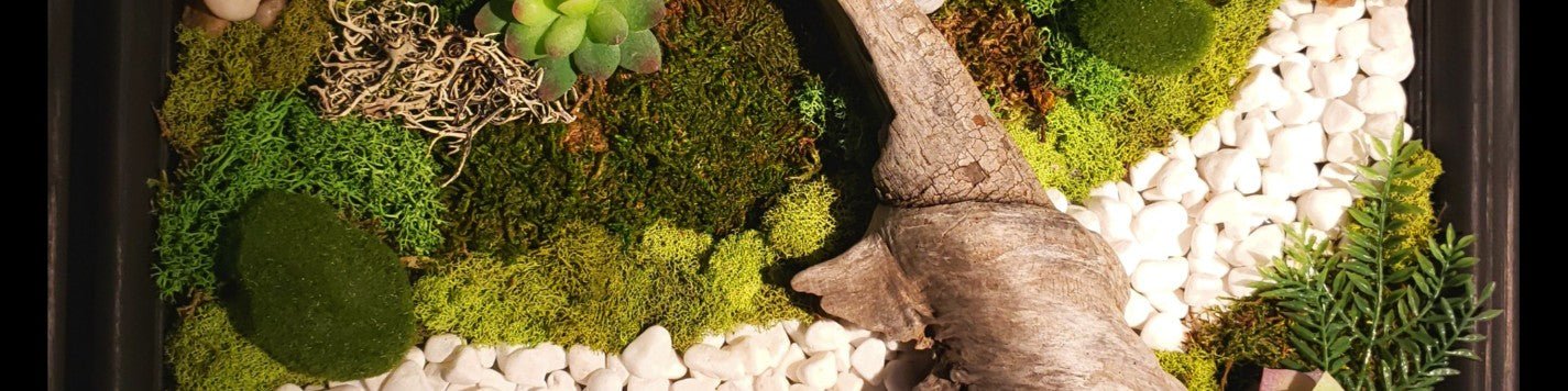 Driftwood and Crystal Moss Art - Earth's Emporium