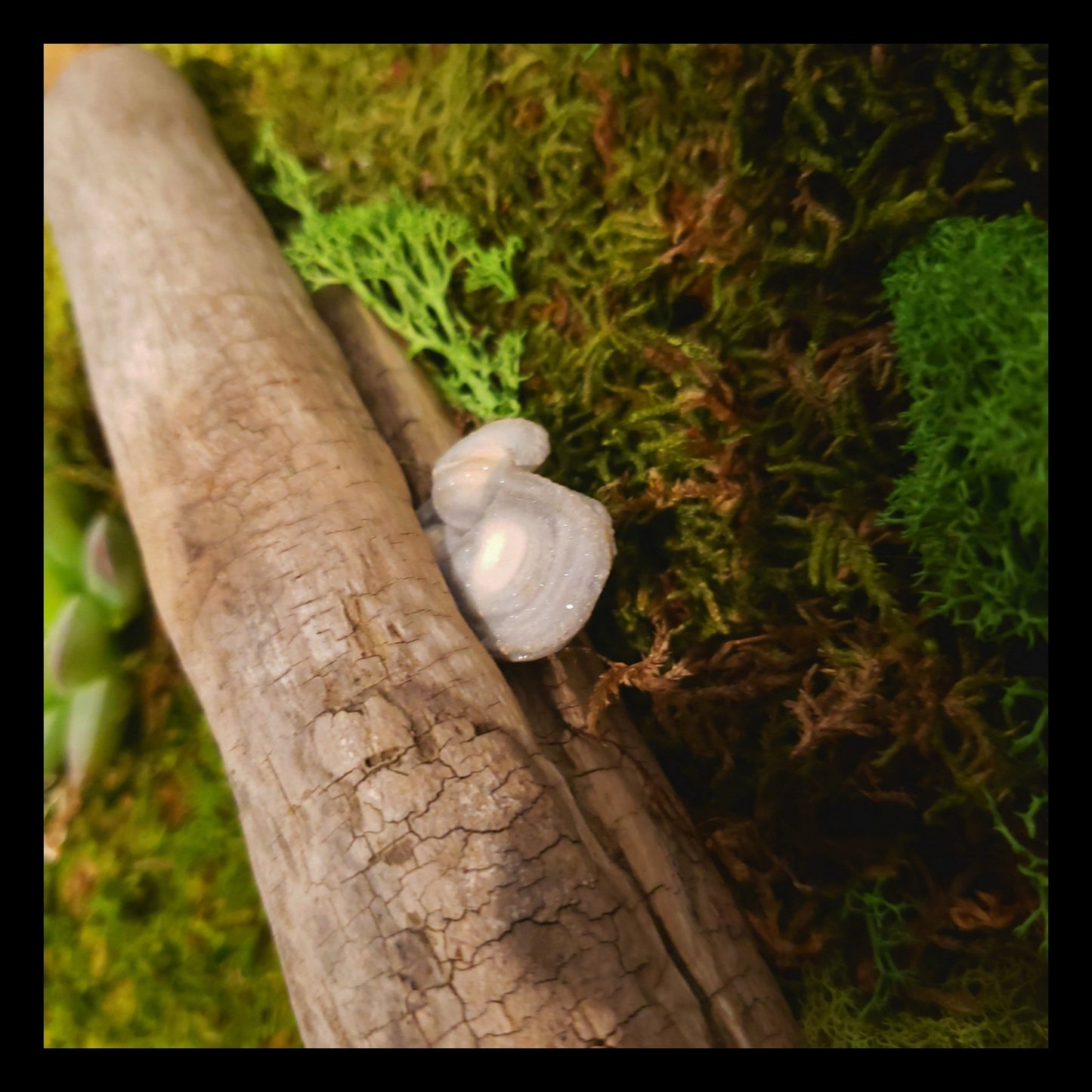Driftwood and Crystal Moss Art - Earth's Emporium