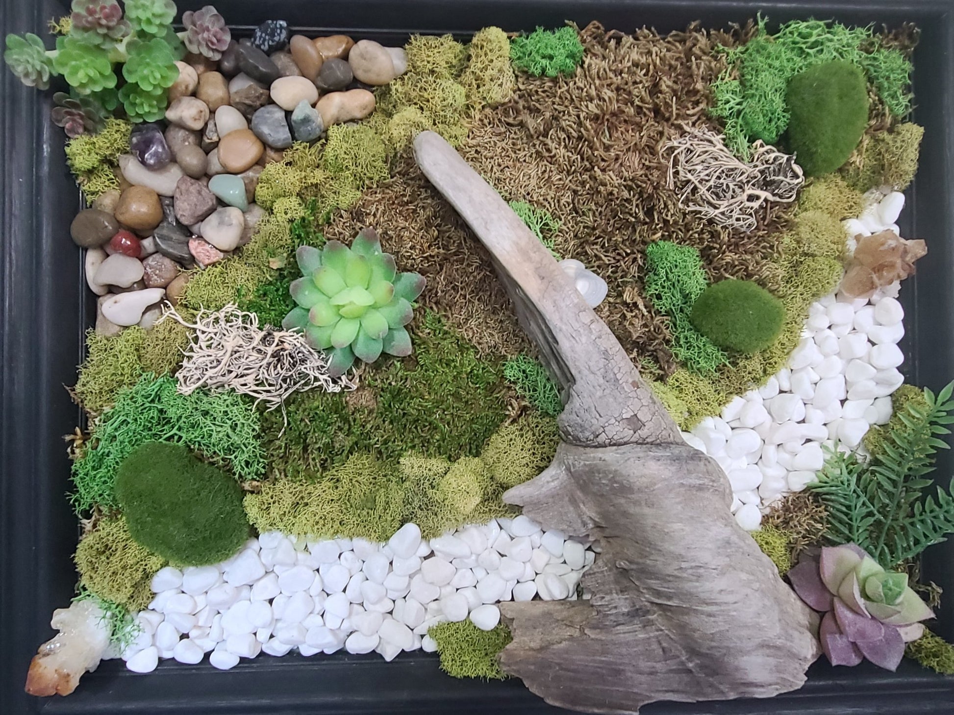 Driftwood and Crystal Moss Art - Earth's Emporium