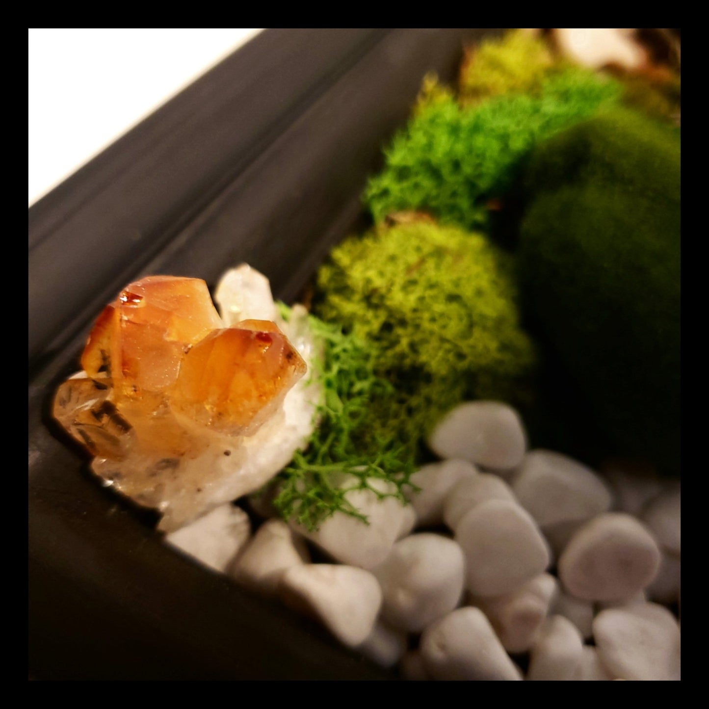 Driftwood and Crystal Moss Art - Earth's Emporium