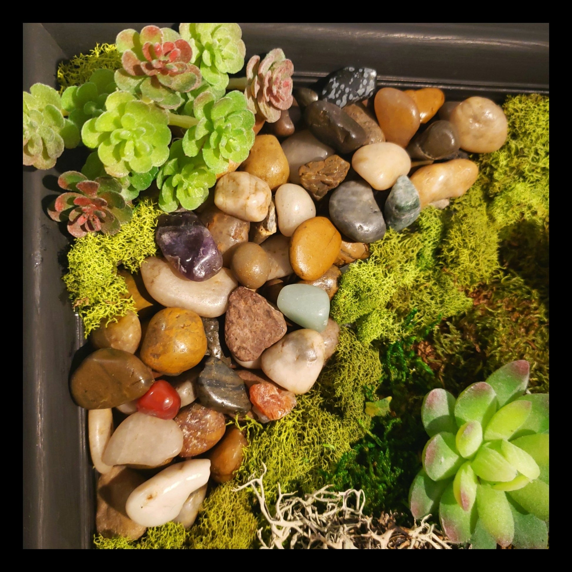 Driftwood and Crystal Moss Art - Earth's Emporium
