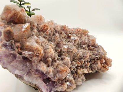 Pink Flame Amethyst