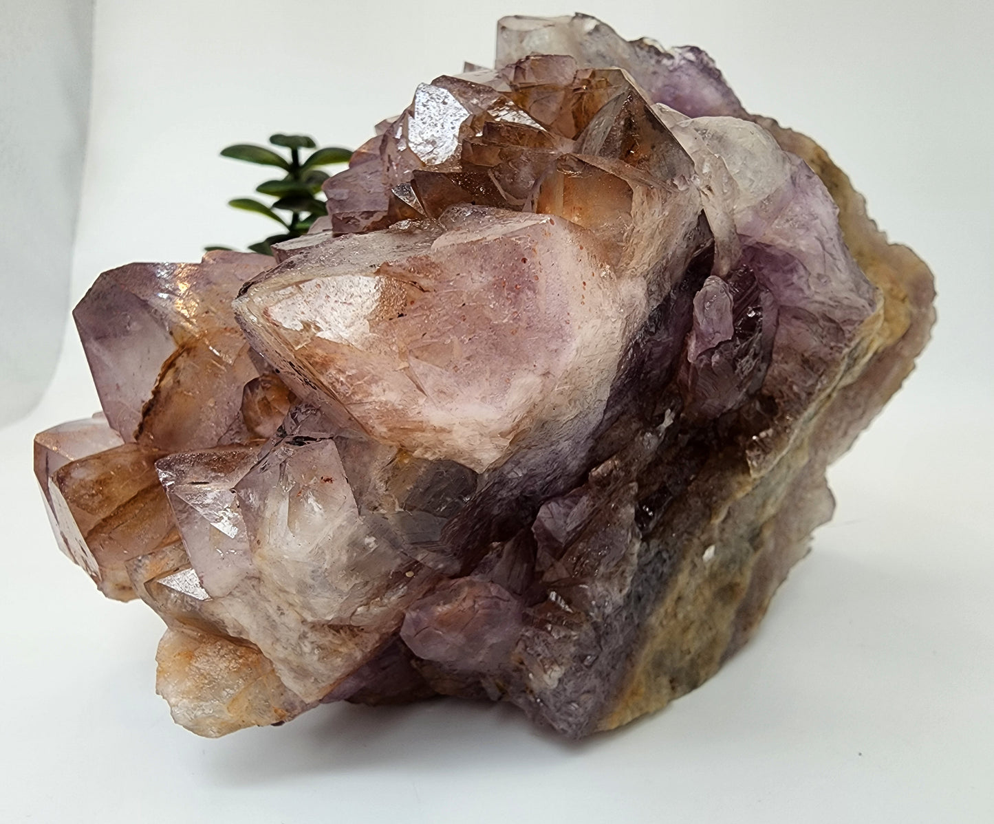 Amethyst with Large Clear Points