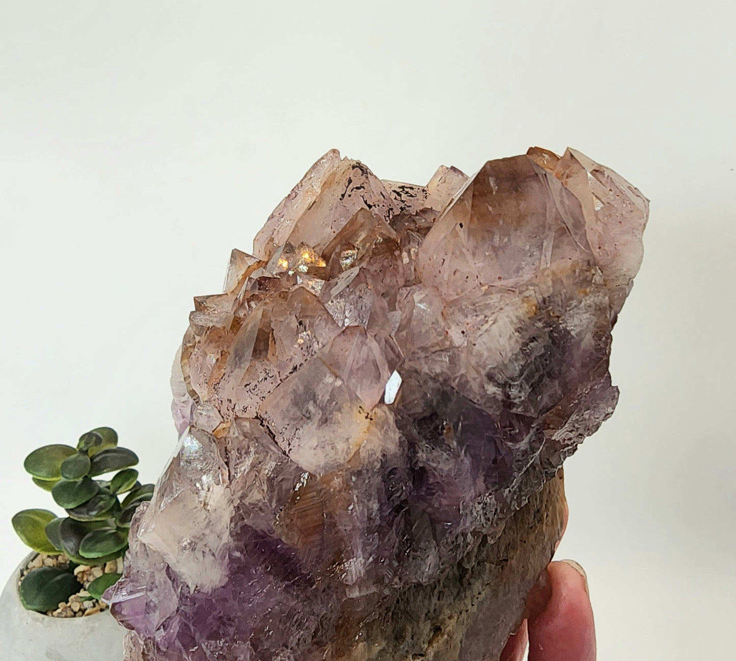 Amethyst with Large Clear Points