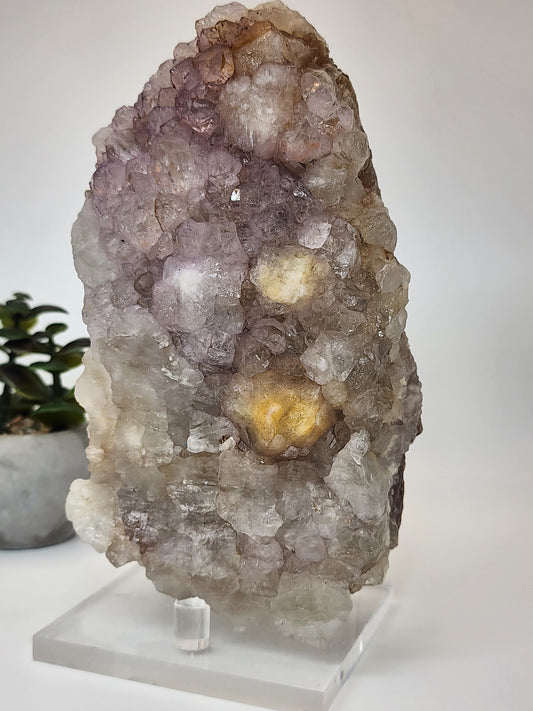 Lavender Amethyst with Citrine Points